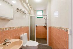 Blk 484 Segar Gardens (Bukit Panjang), HDB Executive #547359671